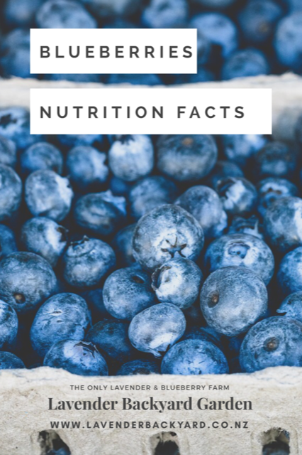 Blueberries Nutrition Facts
