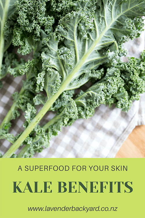 Why Kale is a Superfood for Your Skin? | NZ Lavender Farm