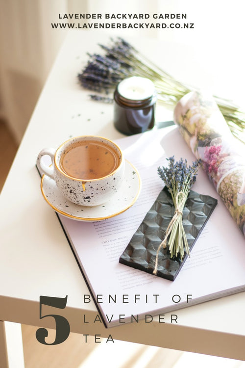 Lavender Tea: How to Brew It and What It Tastes Like