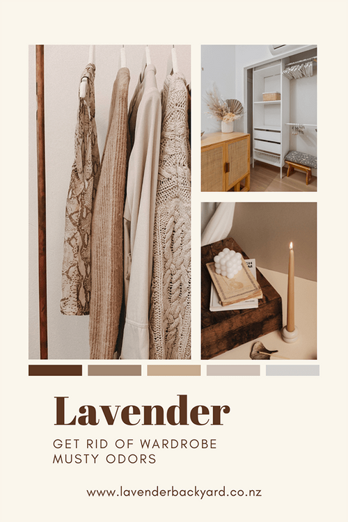 How to Remove Musty Smells from Wardrobe Naturally