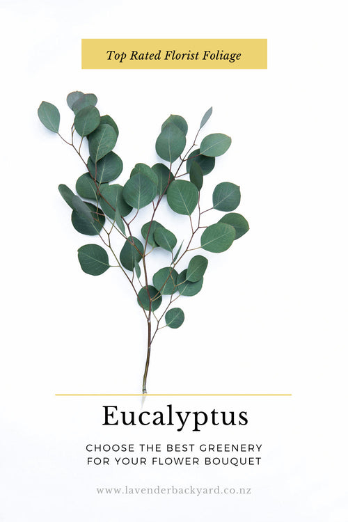 Best Foliage for Flower Bouquets: Eucalyptus