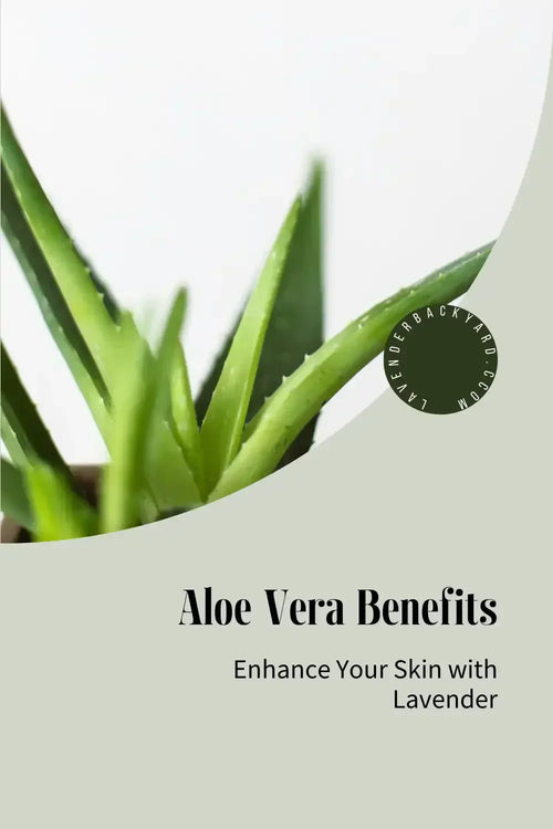 Aloe Vera Benefits for Skin