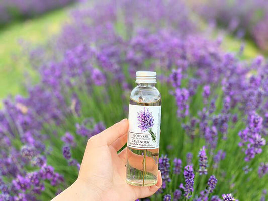 English Lavender Body Massage Oil scented by essential oils containing argan oil from NZ lavender farm
