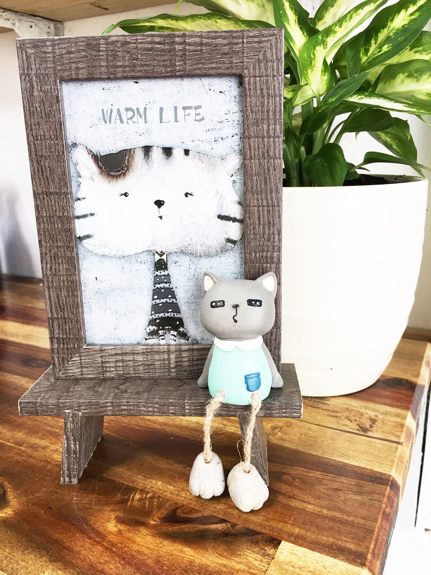 相框:肥猫瞌睡猫