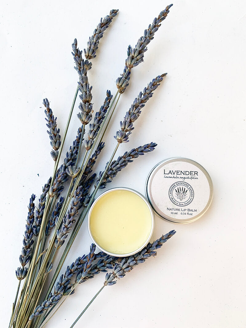 Lavender Lip Balm for chapped lips, tin, scented by essential oils from NZ Lavender lavender farm