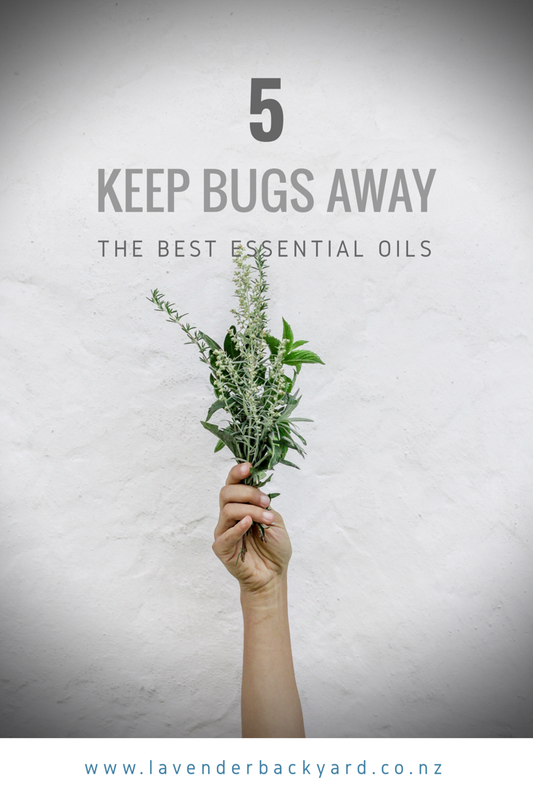 5 Best Essential Oils for Natural Insect Repellent from Lavender Backyard Garden, NZ Lavender Farm
