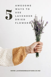 Awesome ways to use lavender dried flowers, Lavender Farm in New Zealand