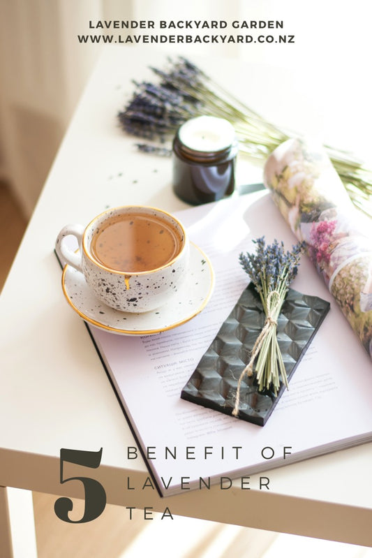 Benefit of Relaxing & Calming Lavender Tea