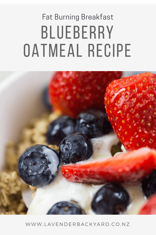How to Make Blueberry Oatmeal Recipe?