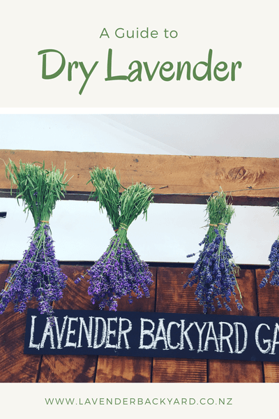 How to Dry Lavender & Make It Last
