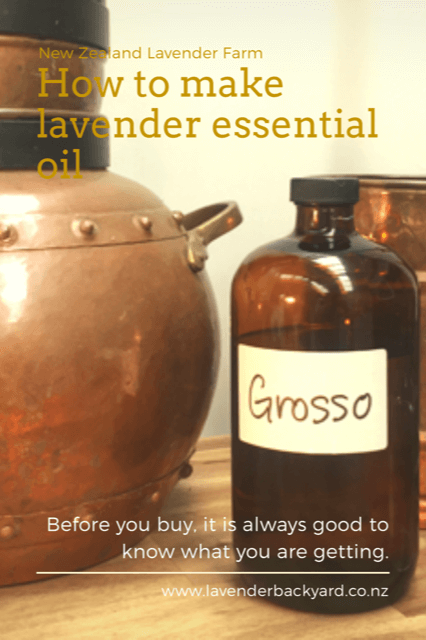 How to make lavender essential oil, Lavender Backyard Garden, NZ lavender farm