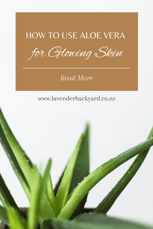Aloe vera for glowing skin - natural plant extract and skincare ingredient