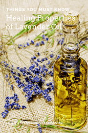Lavender Essential Oil: Healing Properties and Benefits of Aromatherapy