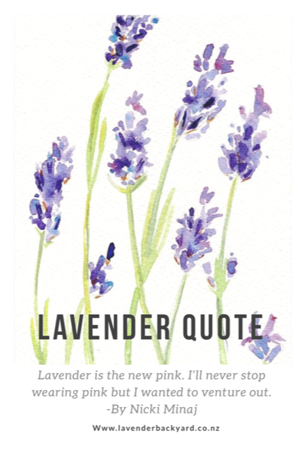 Lavender Art | Lavender by Hannah Clark