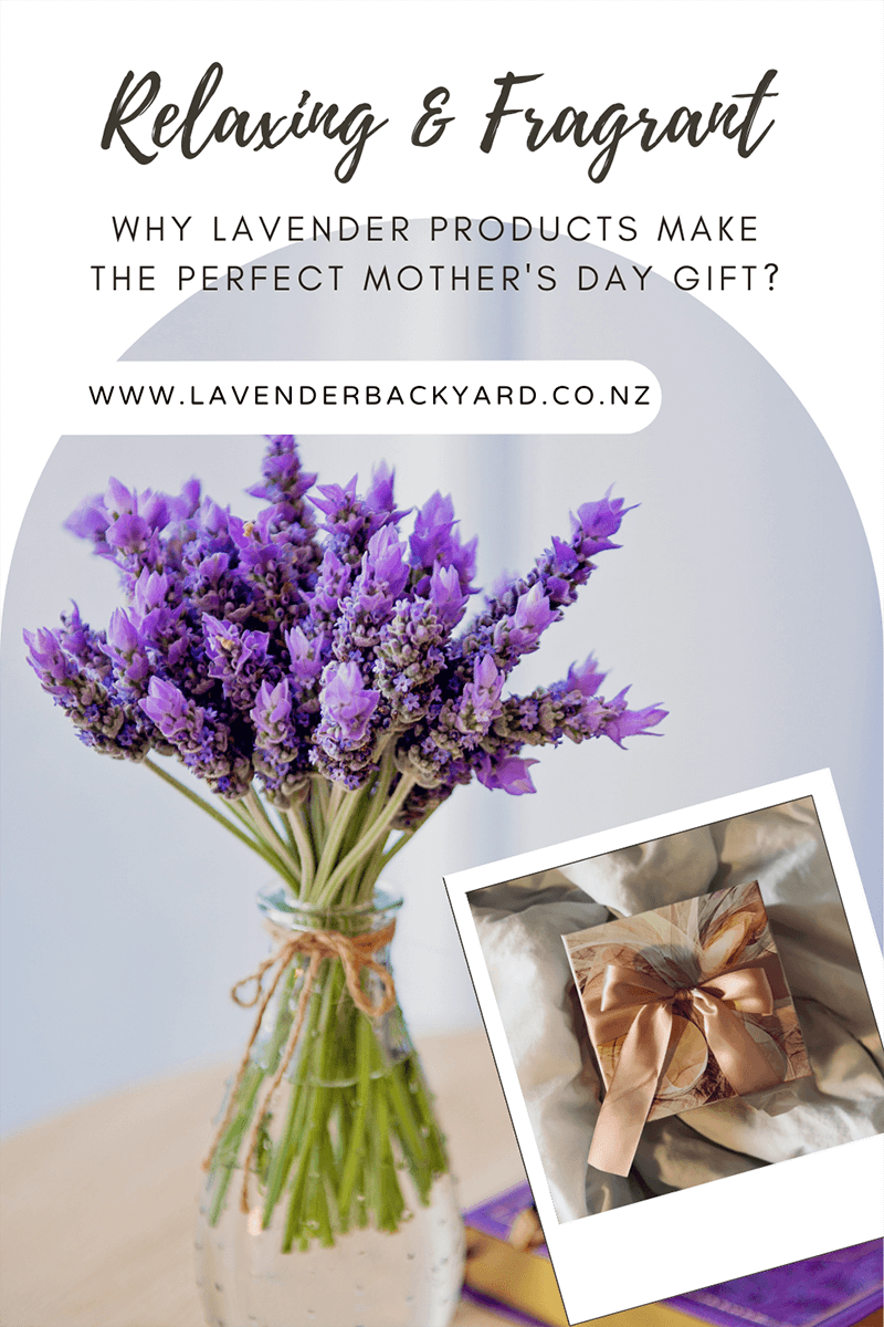 Relaxing and Fragrant: Why Lavender Products Make the Perfect Mother's Day Gift?