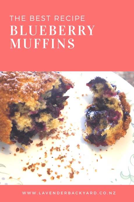 The Best Vagan Blueberry Muffins, Lavender Backyard Garden, Blueberry Farm in New Zealand