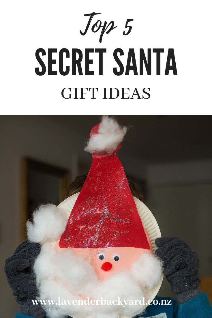 Merry Christmas | Top 6 Secret Santa Gifts Ideas Under $20