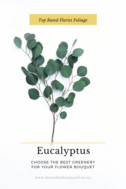 Best Foliage for Flower Bouquet: Eucalyptus