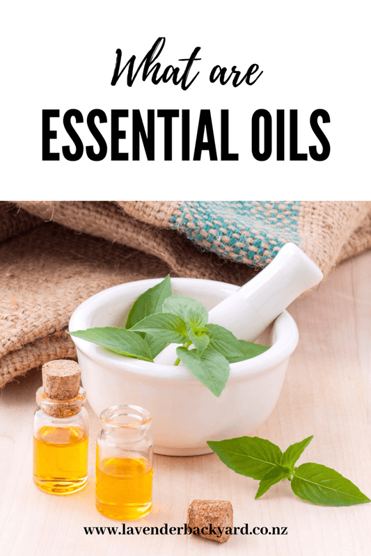 The Ultimate Guide to Essential Oil Extraction Methods: Steam Distillation, Expression, and Solvent Extraction