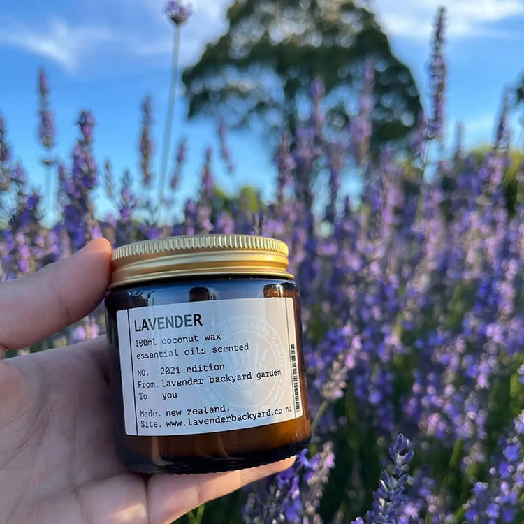 Classic Lavender Coconut Candle scented with essential oil, with blooming lavender on our New Zealand farm