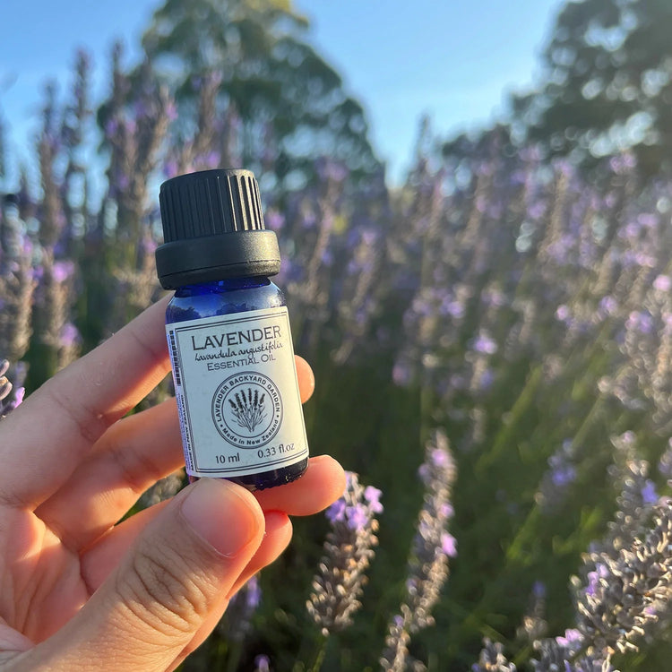 Bottle of 100% pure lavender essential oil held by hand in front of our purple lavender field