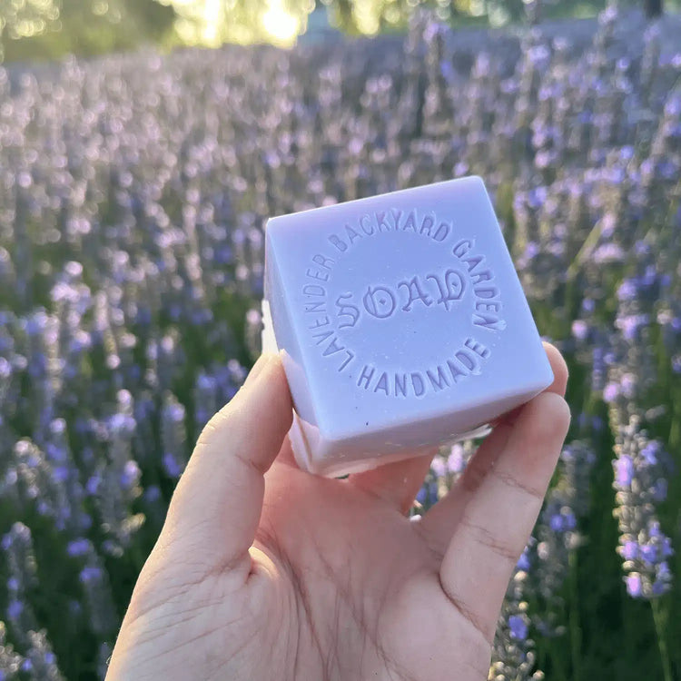 Close-up of Lavender Goat Milk Handmade Soap held by hand, with a sunset and blooming lavender on our New Zealand farm