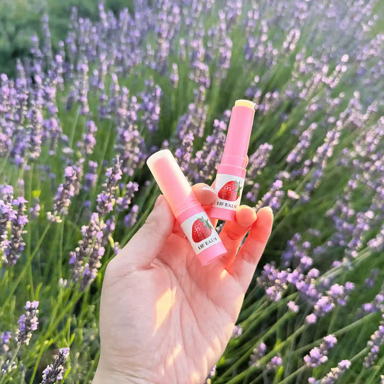 Two strawberry shea lip balms held by hand, one open to show the balm, against our lavender field