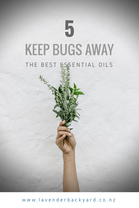 do lavender plants keep bugs away Lavender Bug Off Balm – No DEET