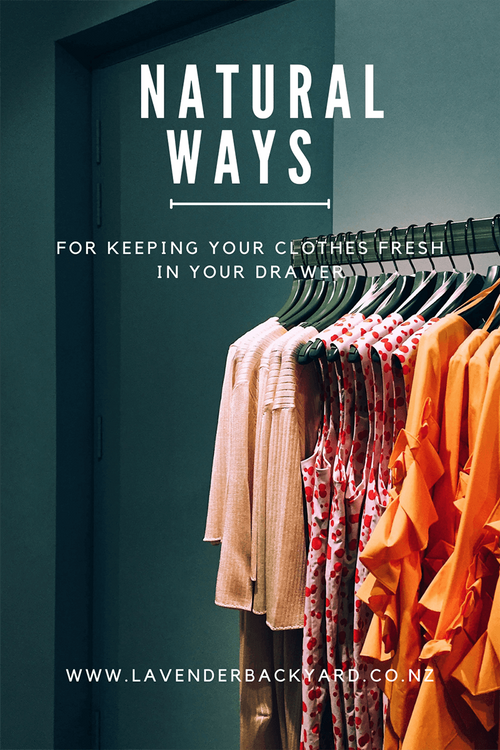 5 Natural Ways to Keep Clothes Fresh in Your Drawer