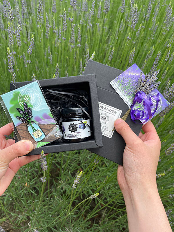 Adorable NZ Lavender Farm Souvenir Gift Sets