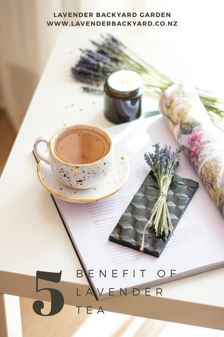 Lavender Tea: How to Brew It and What It Tastes Like