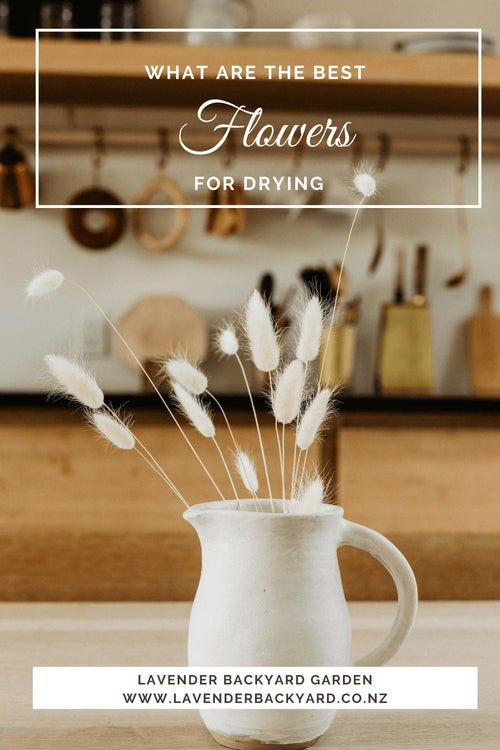 Best Flowers for Dried Flower Bouquets