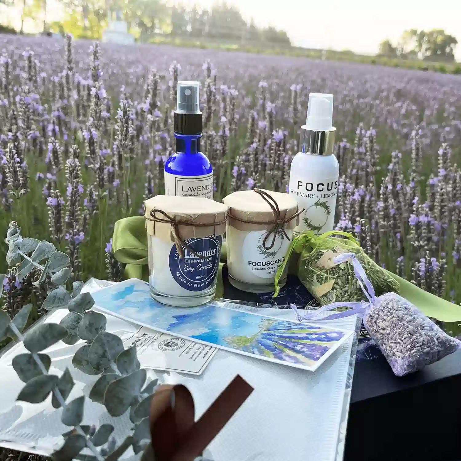 lavender plant help sleep Thoughtful Gifts for Men for Restful Night