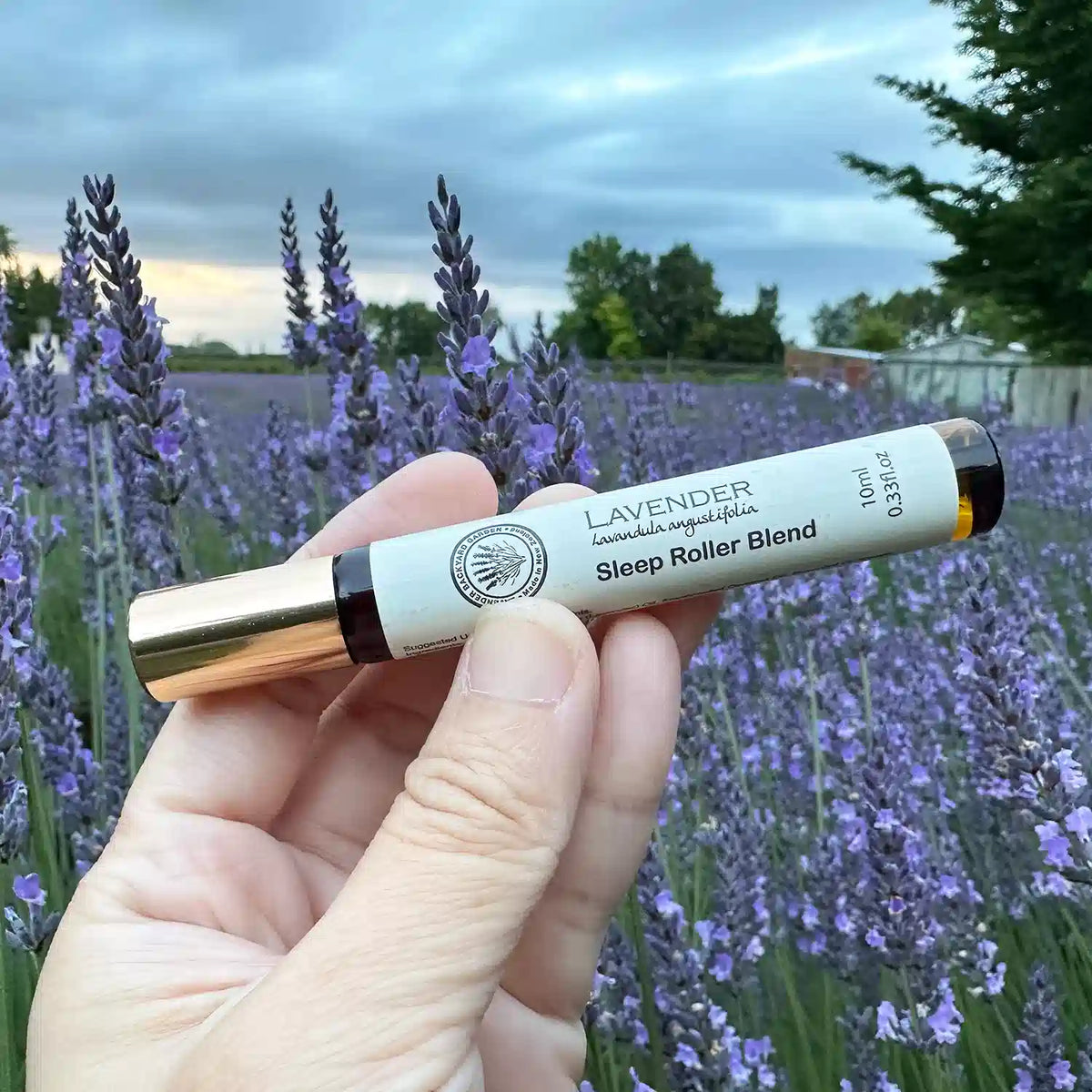 Soft Lavender Roolm Lavender Sleep Roller — NZ Natural Aromatherapy Roll-On for Sleep ...