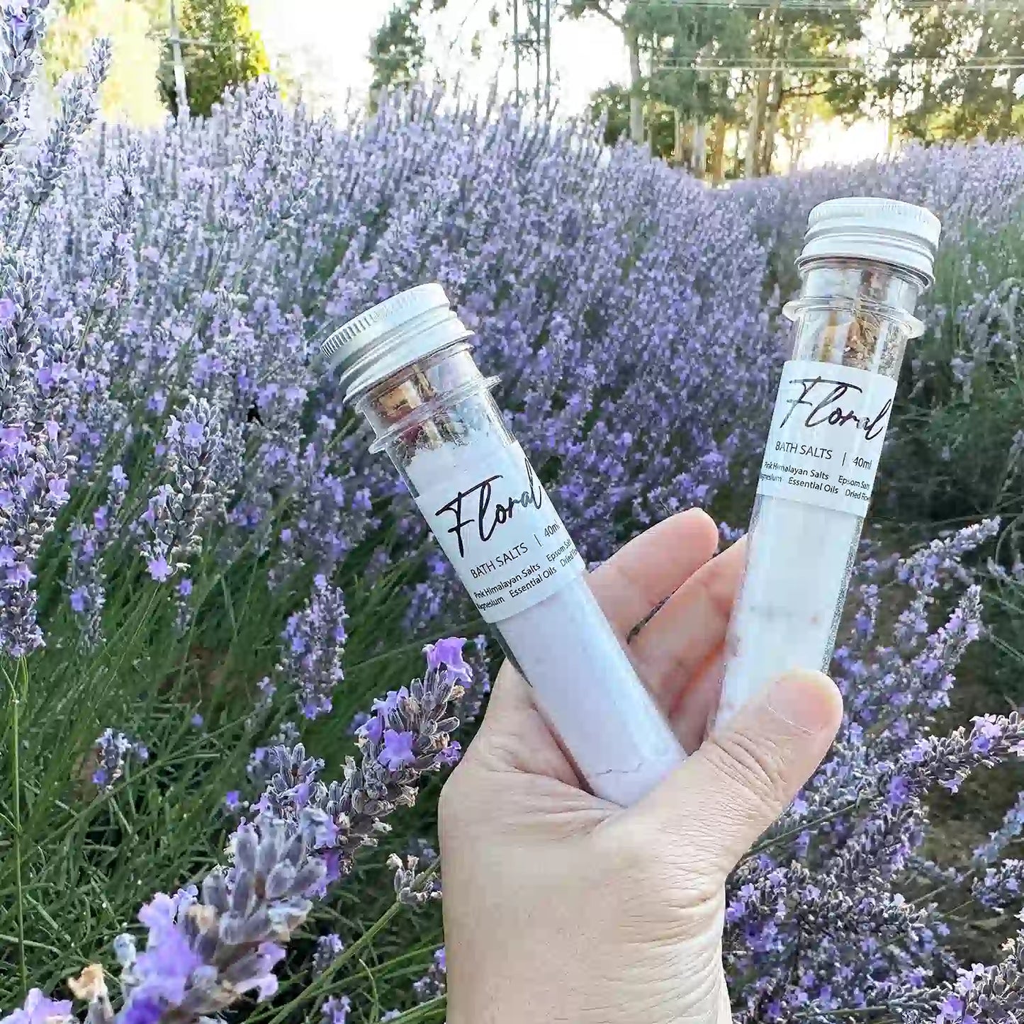 epsom salt for lavender plants Epsom Salt
