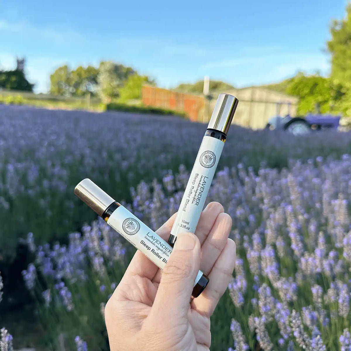 Soft Lavender Roolm Lavender Sleep Roller — NZ Natural Aromatherapy Roll-On for Sleep ...