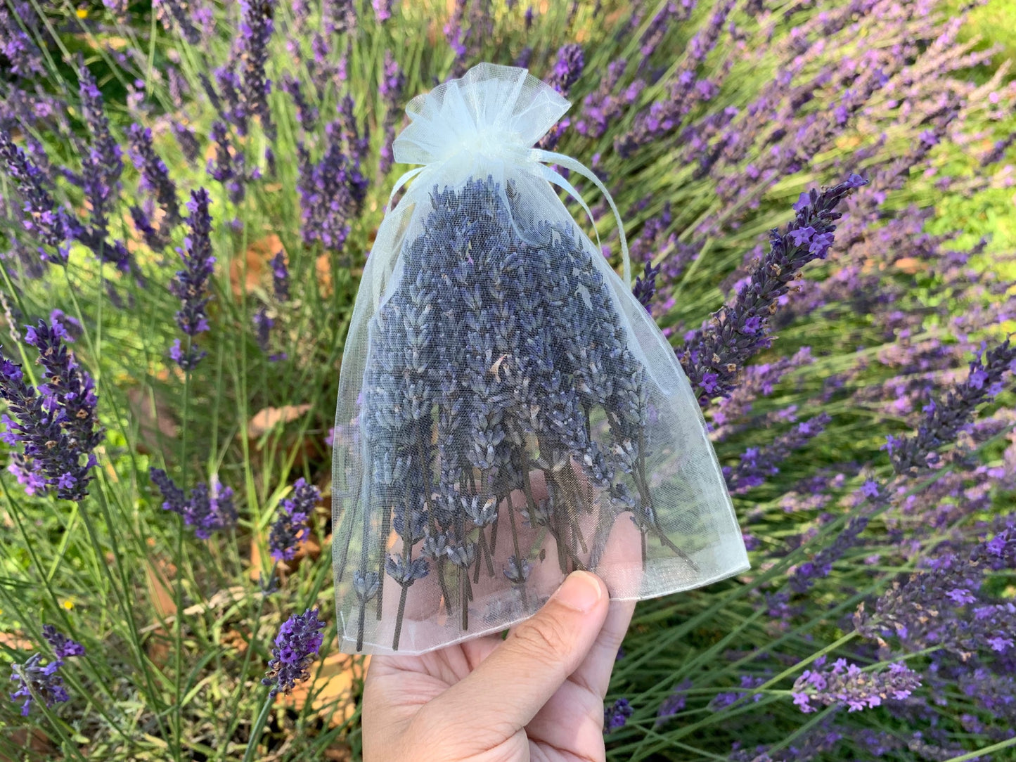 Dried Lavender Sachet for wardrobe/drawer/car containing natural essential oils from NZ Lavender Herb Farm.