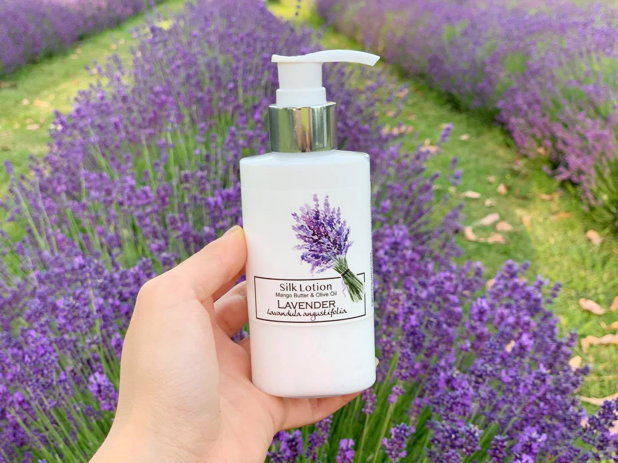 Body lotion scented by English lavender essential oils from NZ lavender farm