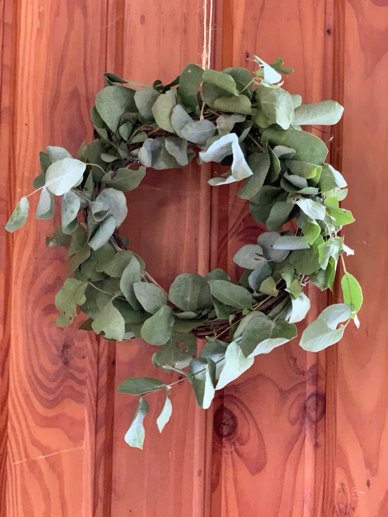 Dried Eucalyptus Wreath Small Size harvested from NZ lavender herb farm