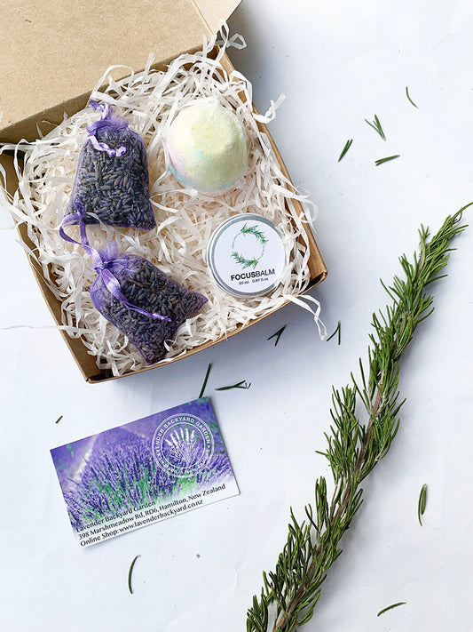 Focus & Study Gift Box, Lavender Small Gift Ideas