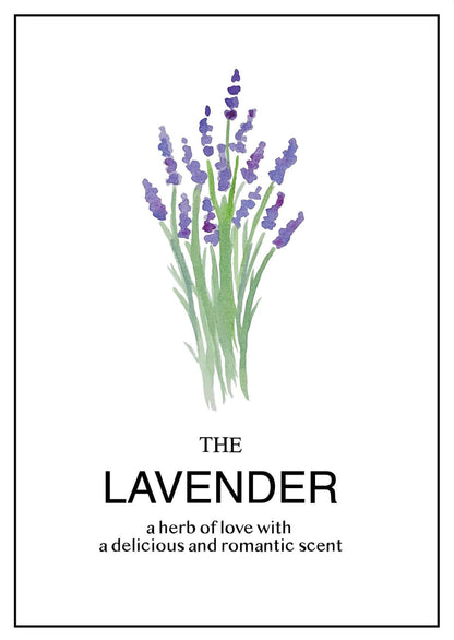 Simple lavender greeting card from NZ lavender farm young designer