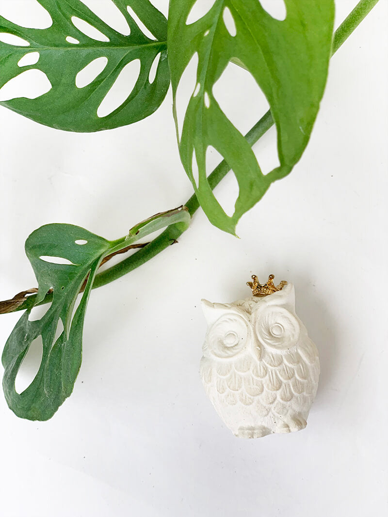Mini Owl Lavender Aroma Stone Diffuser scented by essential oils from NZ lavender farm