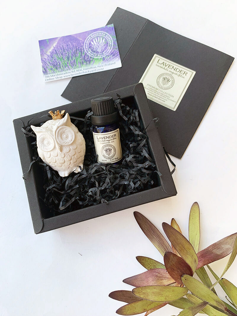 Mini Owl Lavender Aroma Stone Gift Box containing owl ornament and lavender essential oil from NZ Lavender farm