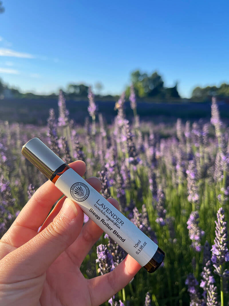 Sweet Dream Lavender Sleep Roller Blends as sleep aids scented by essential oils from NZ lavender farm