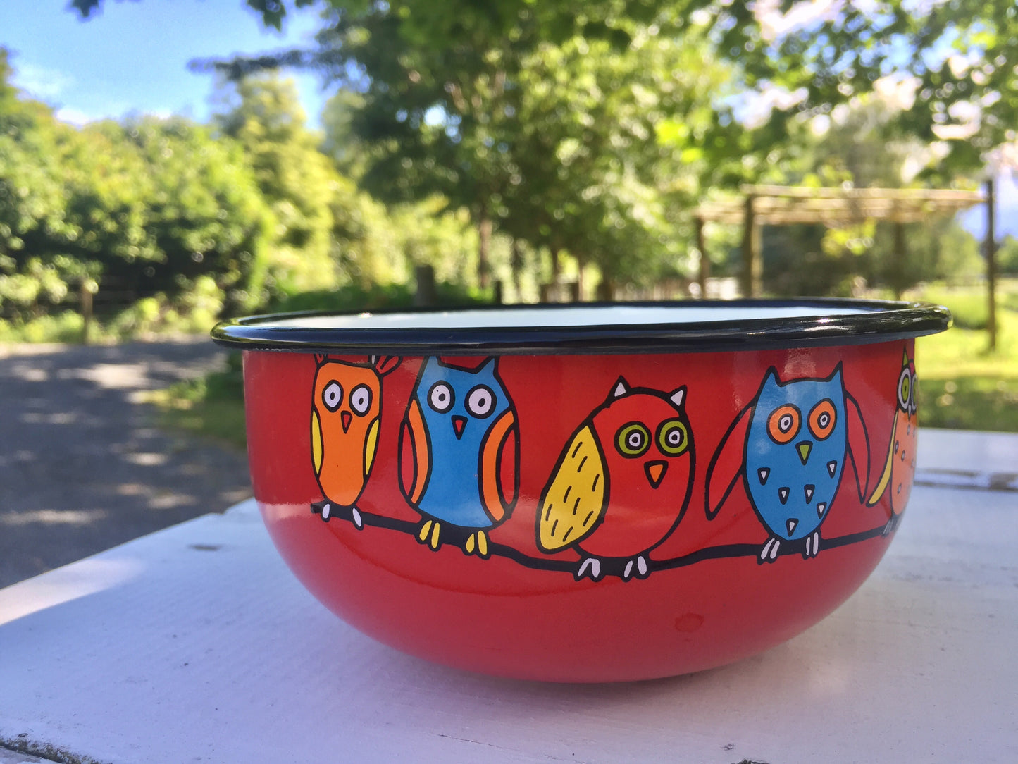 Enamel Bowl- Owl